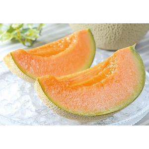 北海道ガスの株主優待