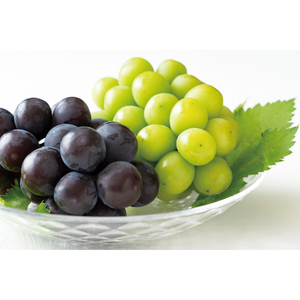 石原ケミの株主優待情報