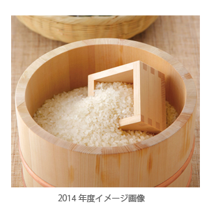 テクノメディカの株主優待