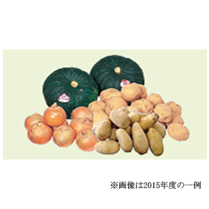 ツルハＨＤの株主優待情報