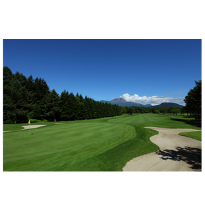 西武ＨＤの株主優待情報