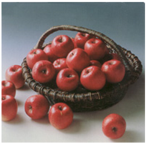 タカノの株主優待情報