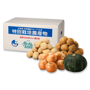 北ガスの株主優待情報