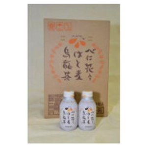 バイタルＫＳの株主優待情報