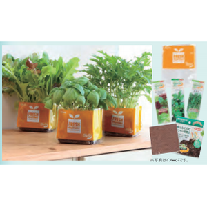 サカタタネの株主優待情報