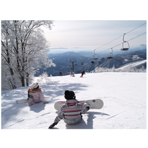 日本駐車場の株主優待情報