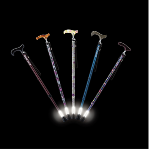 フランスベッドホールディングスの株主優待