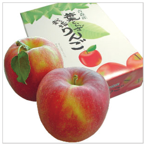 昴の株主優待情報