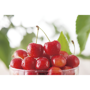 ヒューリックの株主優待情報