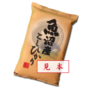 オーシャンシの株主優待情報