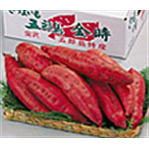 福島印刷の株主優待情報