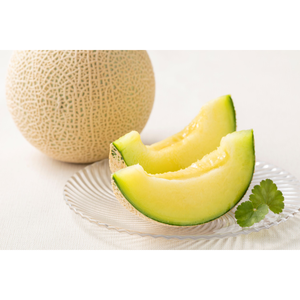 新晃工の株主優待情報