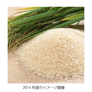 テクノメデカの株主優待情報