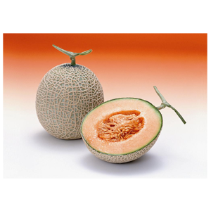 北雄ラッキーの株主優待情報