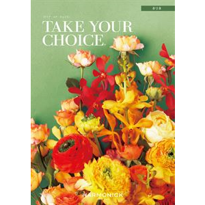 日新商の株主優待情報