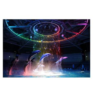 西武ホールディングス (9024) : 株主優待・優待利回り [SEIBU
