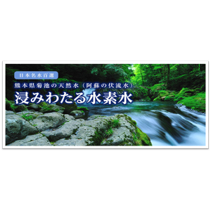 アビストの株主優待情報