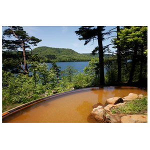 ベルーナの株主優待情報