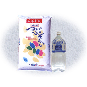 田中精密の株主優待情報