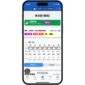 ＷＮＩウェザの株主優待情報